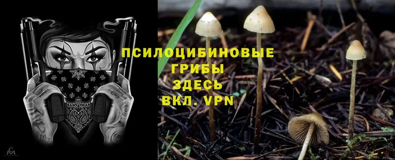 Псилоцибиновые грибы MAGIC MUSHROOMS Артёмовский